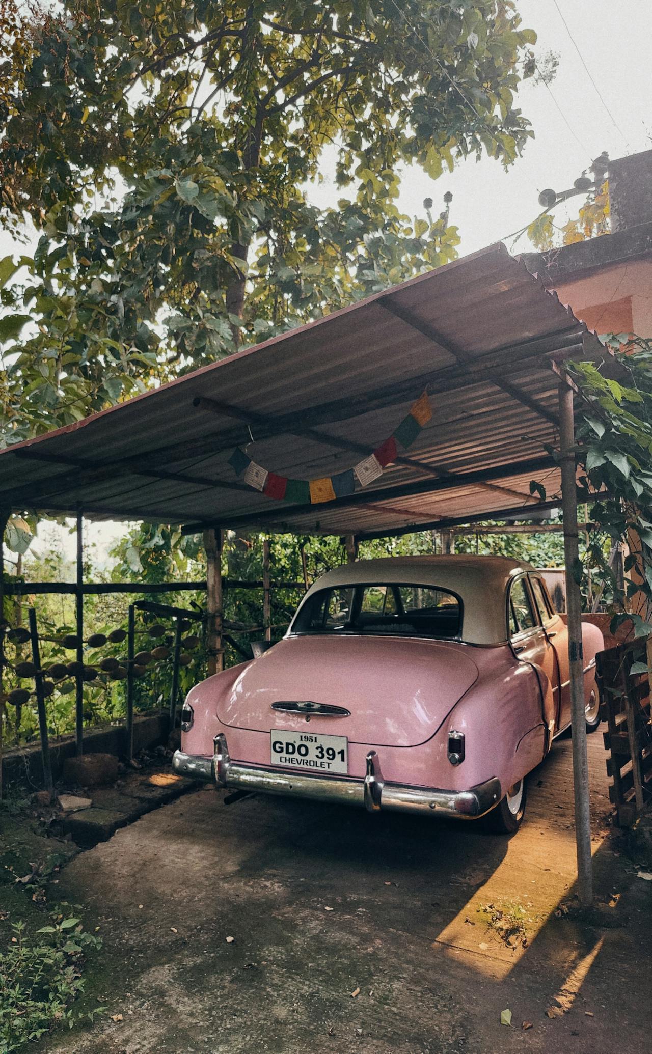 Compact carport in urban setting